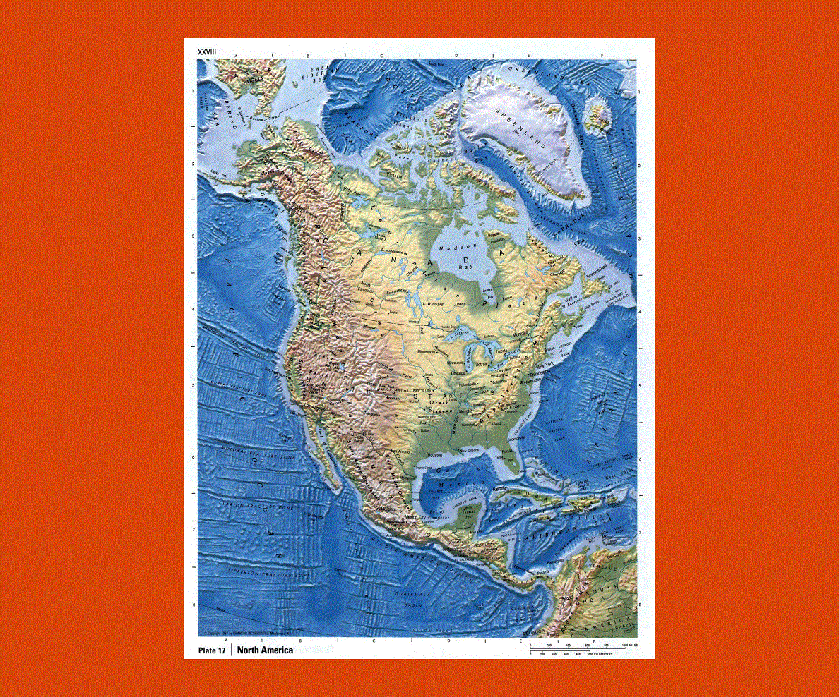 Изрезанность береговой южной америки. Объекты береговой линии Северной Америки. Береговая линия Северной Америки на карте. Изрезанность береговой линии Северной Америки. Моря омывающие Северную Америку.